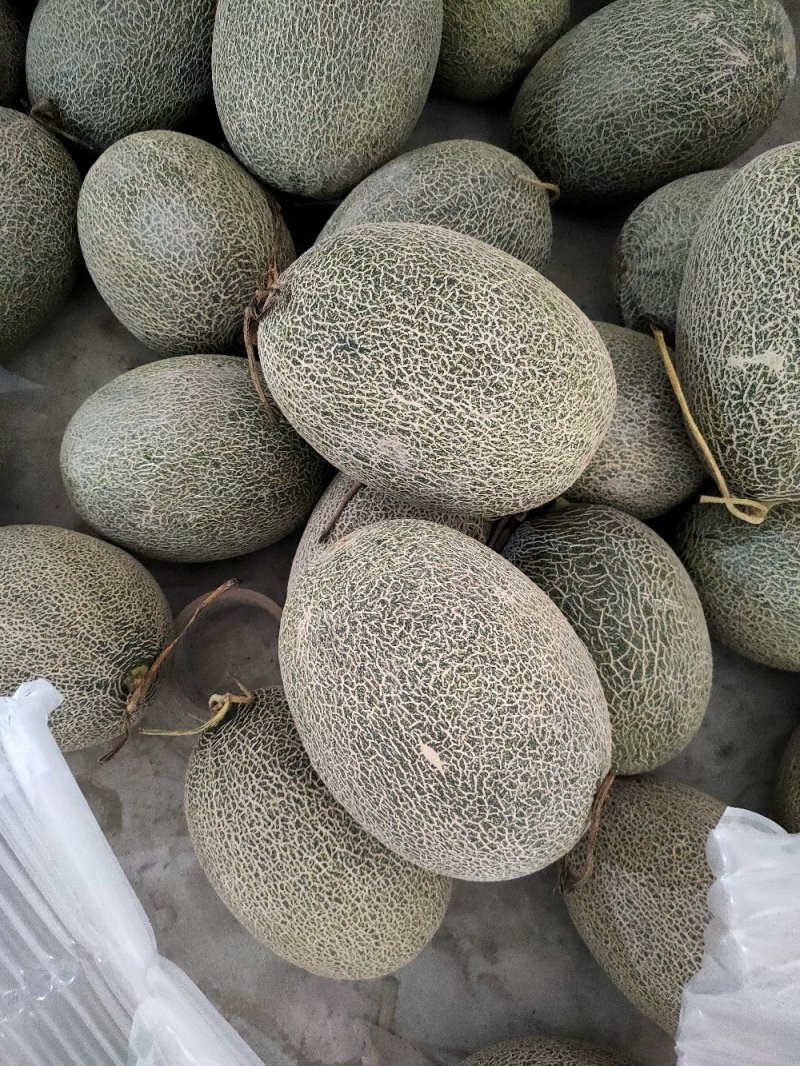 西周密
