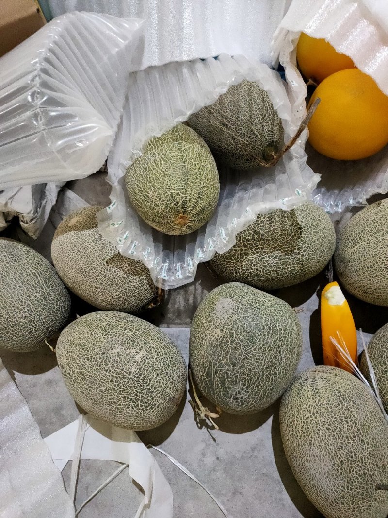 西周密