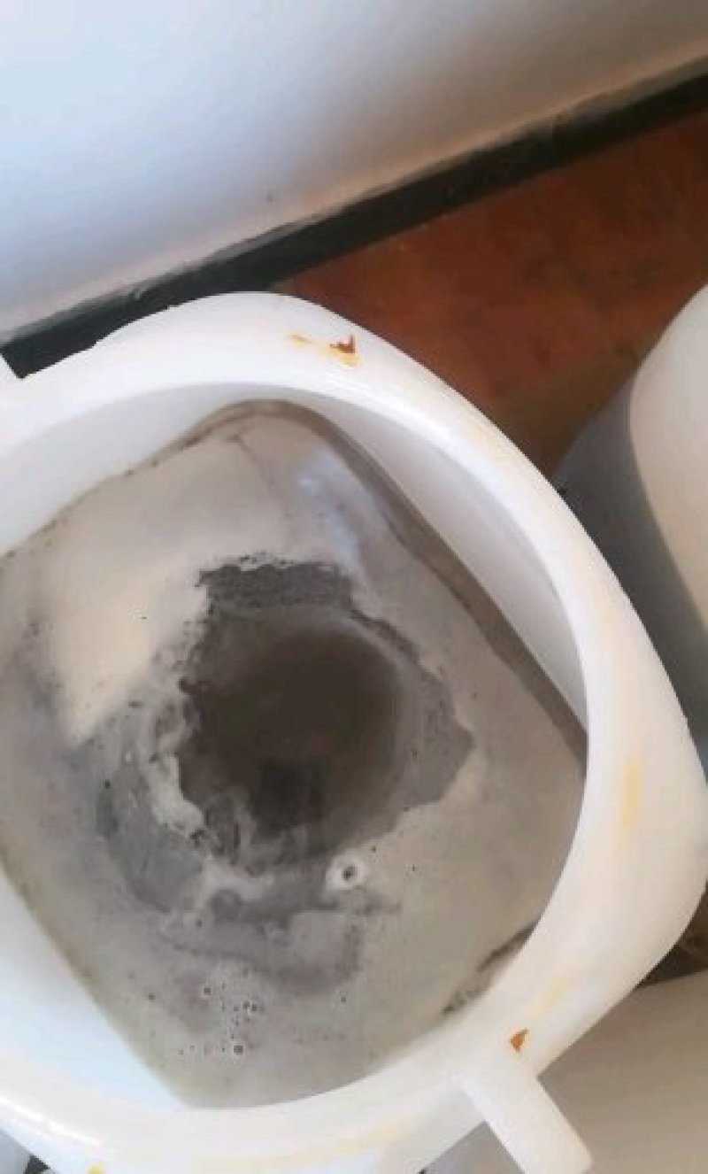 蜂蜜