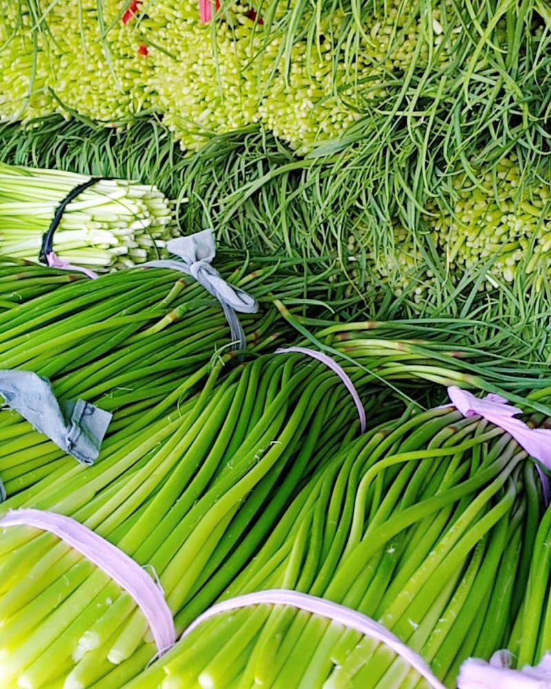 河南省漯河市临颍县蒜薹大量上市