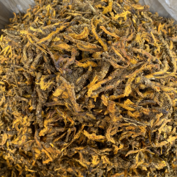 黄连各种中药材批发产地直销量大从优批发零售