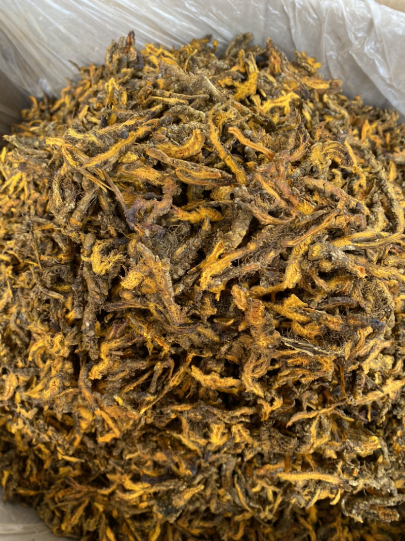 黄连各种中药材批发产地直销量大从优批发零售