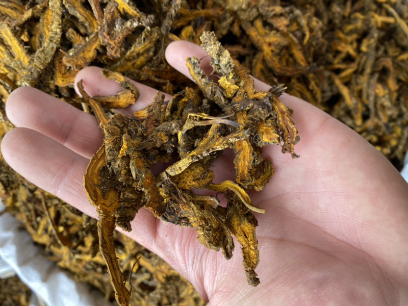 黄连各种中药材批发产地直销量大从优批发零售