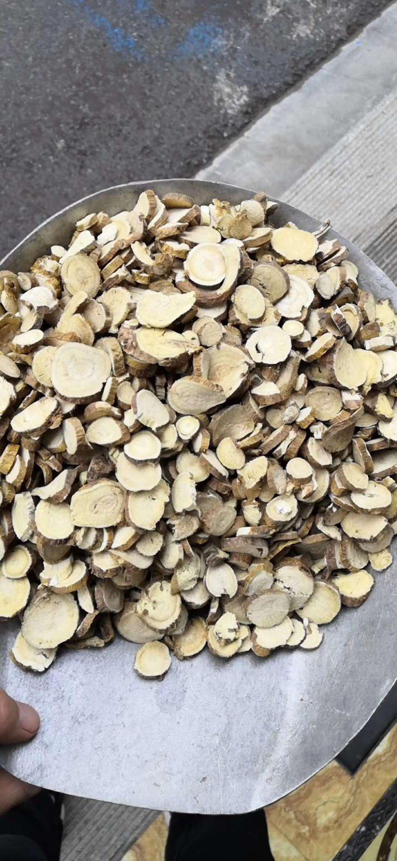 苦参东北内蒙货各种中药材批发产地直销量大从优