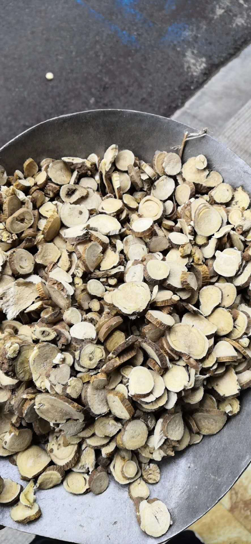 苦参东北内蒙货各种中药材批发产地直销量大从优