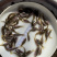 禾花鲤鱼肉质鲜嫩欢迎大量采购已训食料欢迎订购