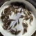 禾花鲤鱼肉质鲜嫩欢迎大量采购已训食料欢迎订购