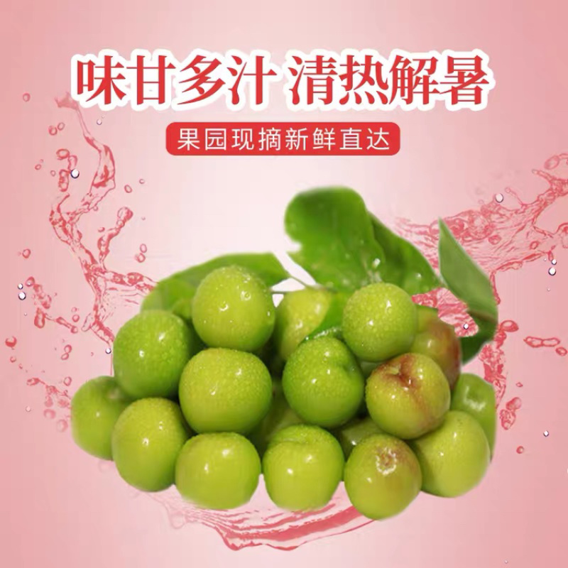 一件代发包邮，福建孕妇水果，酸爽脆李，送辣椒盐