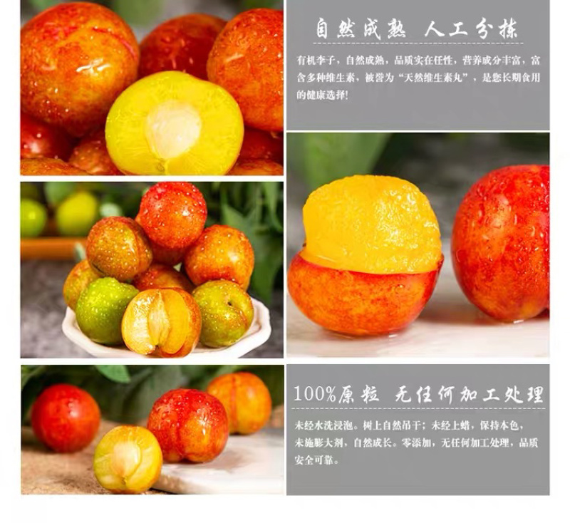 一件代发包邮，福建孕妇水果，酸爽脆李，送辣椒盐