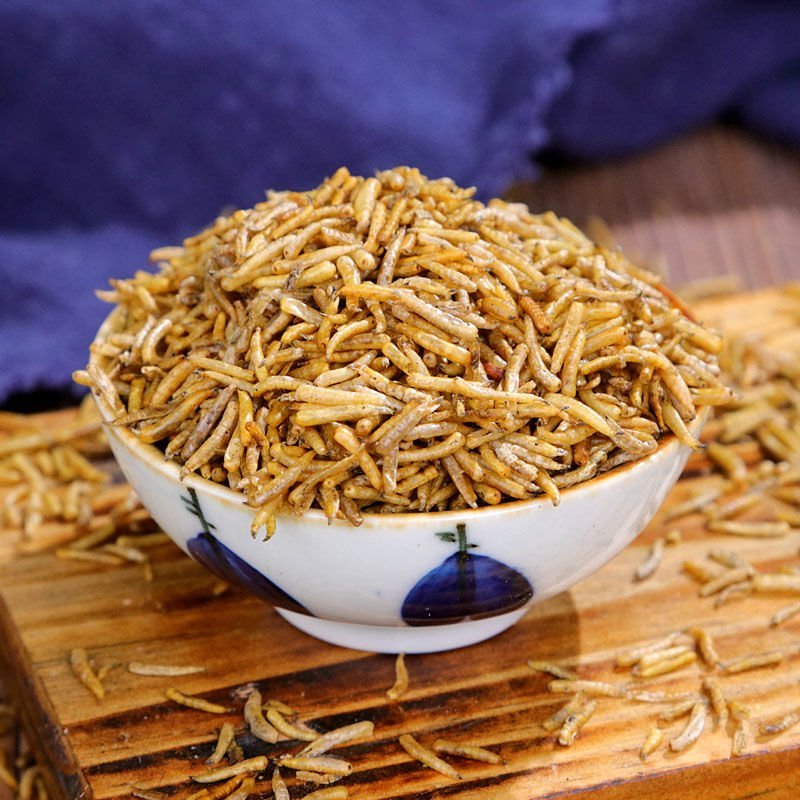 五谷虫无骨虫药食两用各种中药材