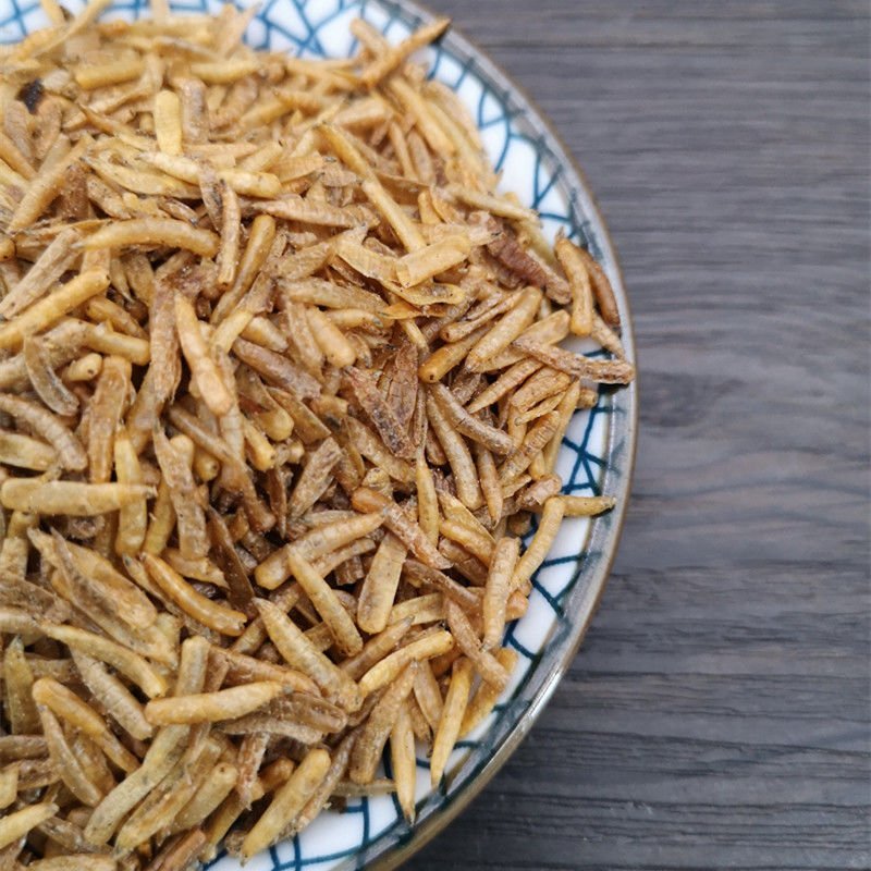 五谷虫无骨虫药食两用各种中药材