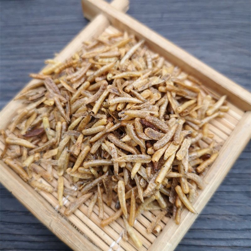 五谷虫无骨虫药食两用各种中药材
