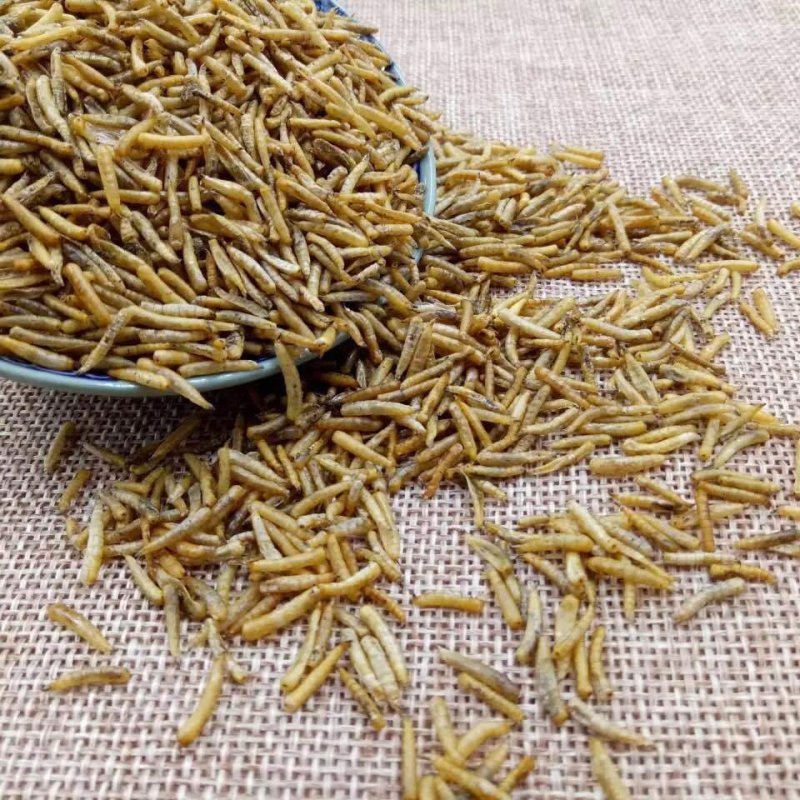五谷虫无骨虫药食两用各种中药材