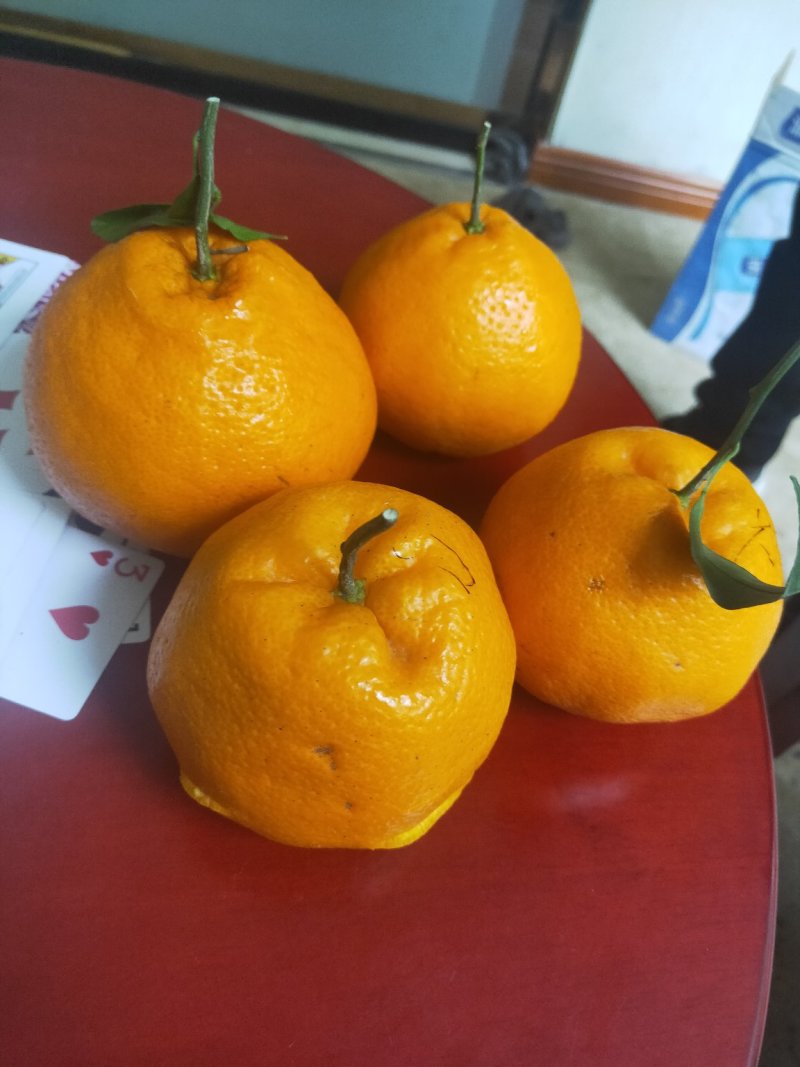 耙耙柑