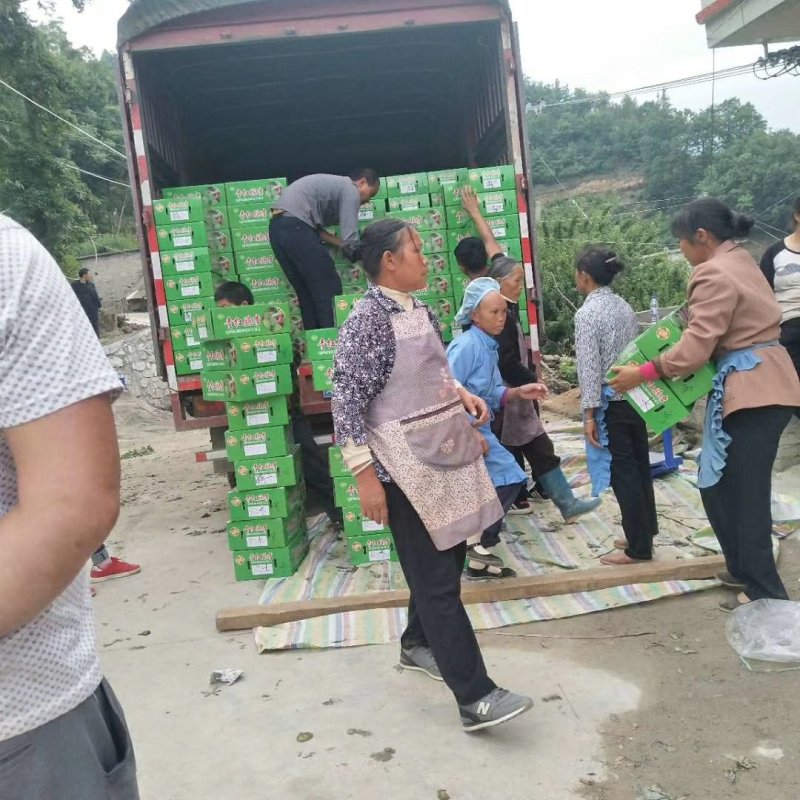 李子代办，专业才做得更好