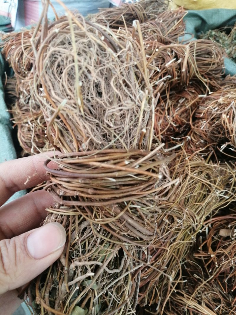 鸡骨草大、小叶鸡骨草全株，家种、野生均有货