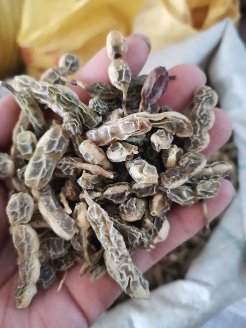 槐角农家晒干无硫干净一公斤起发货批发零售