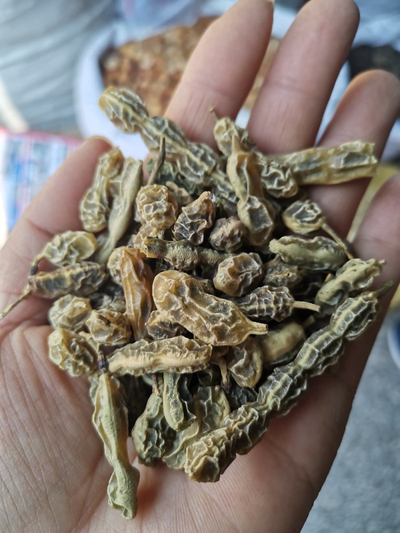 槐角农家晒干无硫干净一公斤起发货批发零售