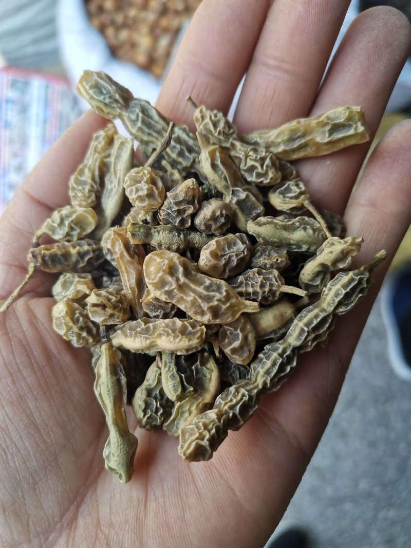 槐角农家晒干无硫干净一公斤起发货批发零售