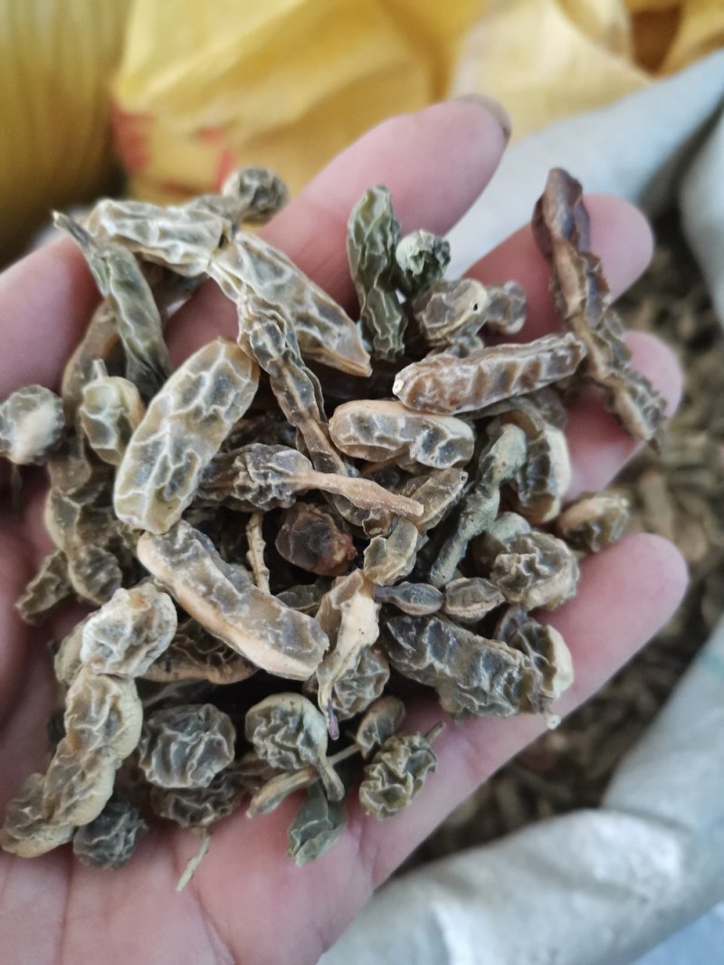 槐角农家晒干无硫干净一公斤起发货批发零售