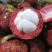 山竹一件代发电商微商顺风顺水对接包邮包售后