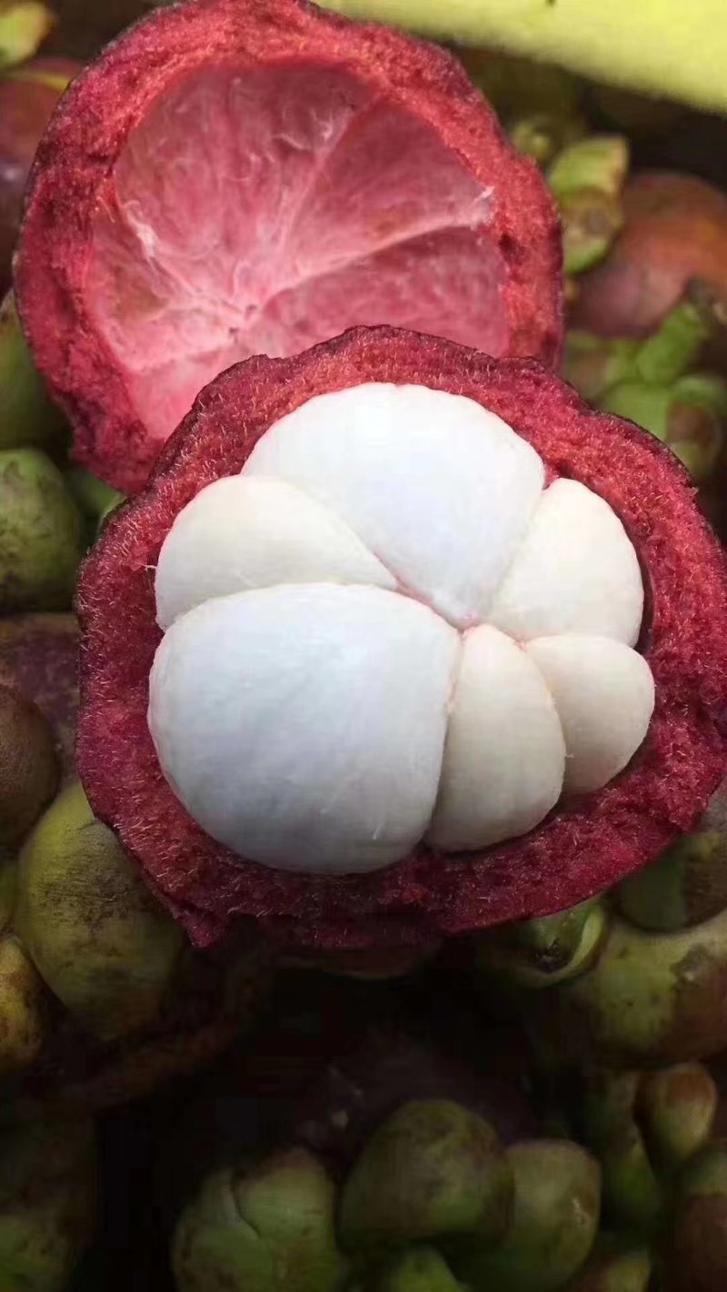 山竹一件代发电商微商顺风顺水对接包邮包售后
