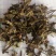 猫须草，广西地产中药材，货好颜色漂亮，现货供应