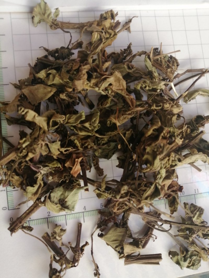 猫须草，广西地产中药材，货好颜色漂亮，现货供应