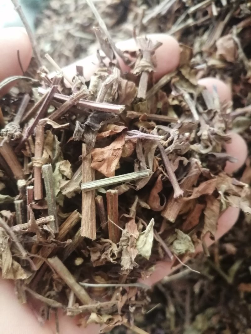 猫须草，广西地产中药材，货好颜色漂亮，现货供应