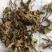 猫须草，广西地产中药材，货好颜色漂亮，现货供应