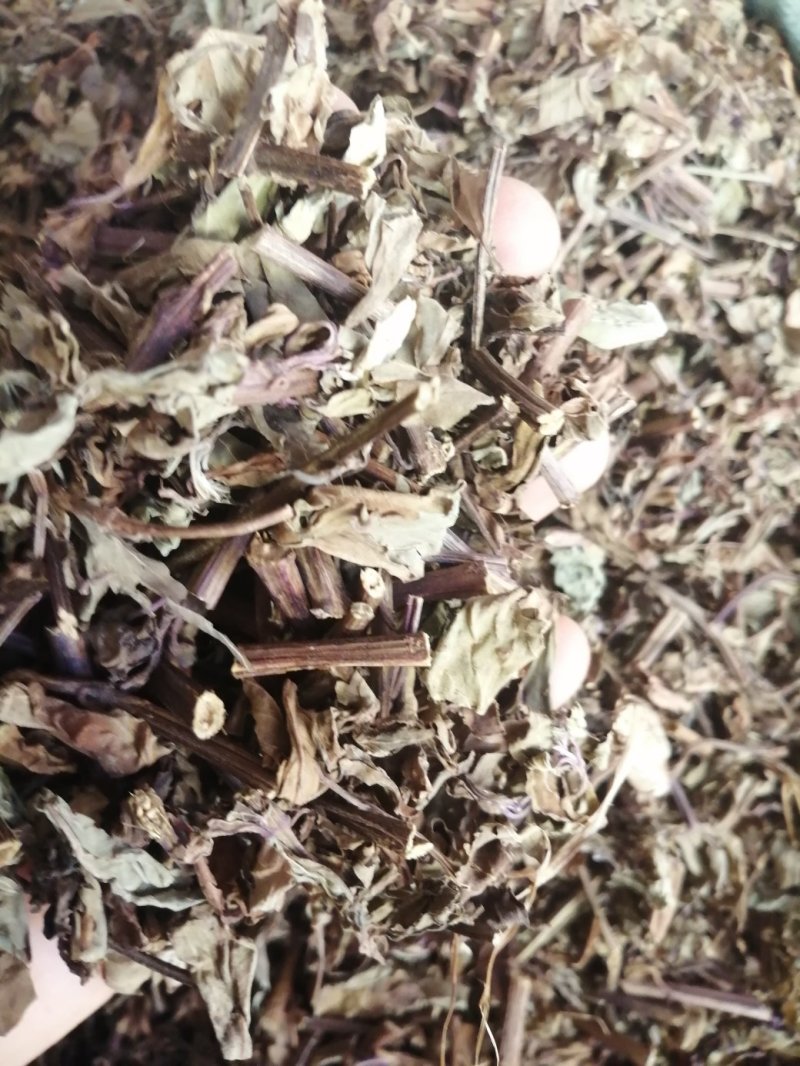 猫须草，广西地产中药材，货好颜色漂亮，现货供应