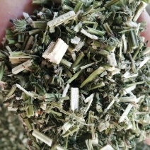 益母草，鲜货切片晒干，颜色青绿新鲜，现货供应