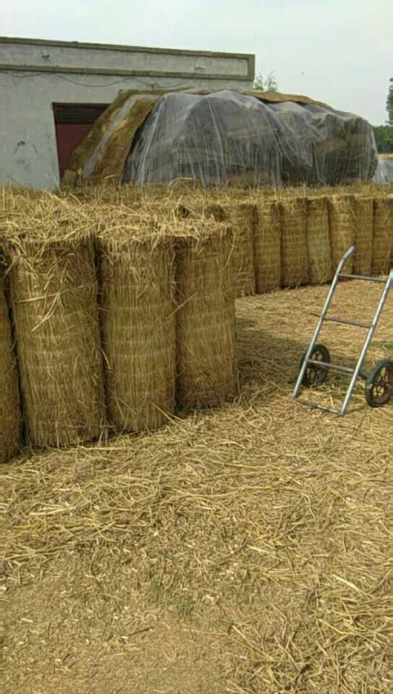 草帘，棉被厂