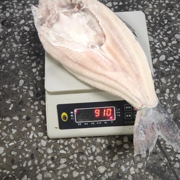 开背巴沙鱼，8.5成开背巴沙鱼，厂家直销