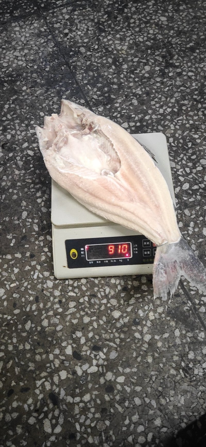 开背巴沙鱼，8.5成开背巴沙鱼，厂家直销
