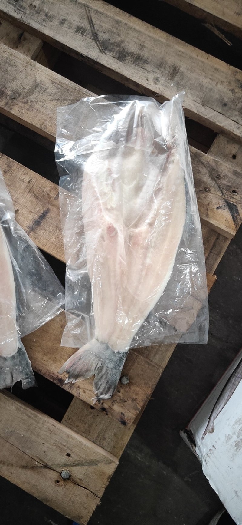 开背巴沙鱼，8.5成开背巴沙鱼，厂家直销