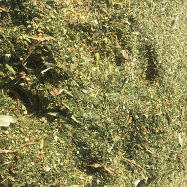 裹包玉米青贮天津、唐山有货