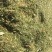 裹包玉米青贮天津、唐山有货