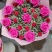 混搭勿忘我干花情人草干花，水晶花干花