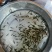 【精品鱼苗】花鲢大头，大量上市欢迎采购