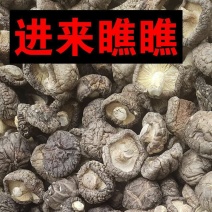 香菇香菇干香菇批发品质好剪脚产地直发全国！