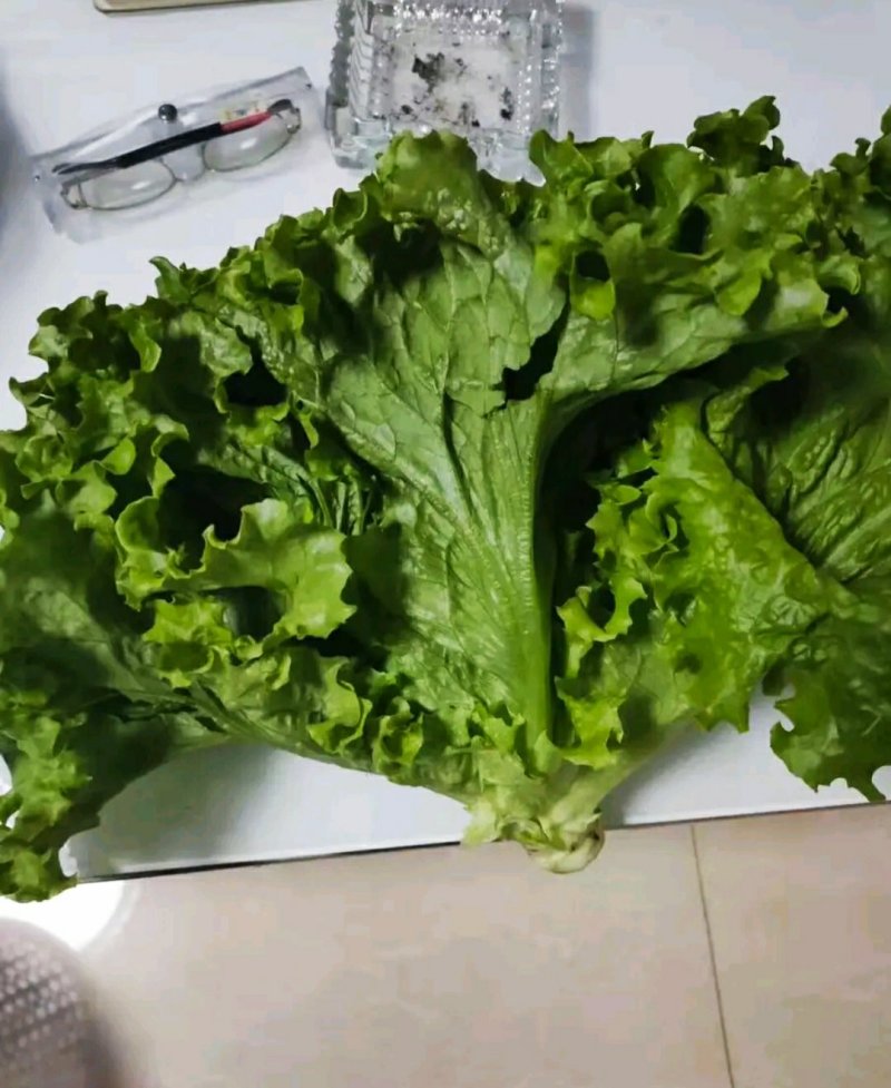 河北，青也生菜，可来实地看货