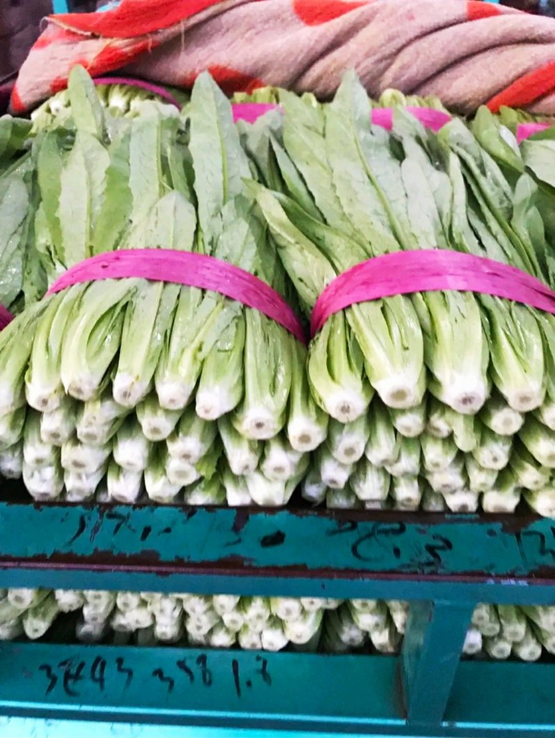 精品油麦菜、小圆根、冰糖心