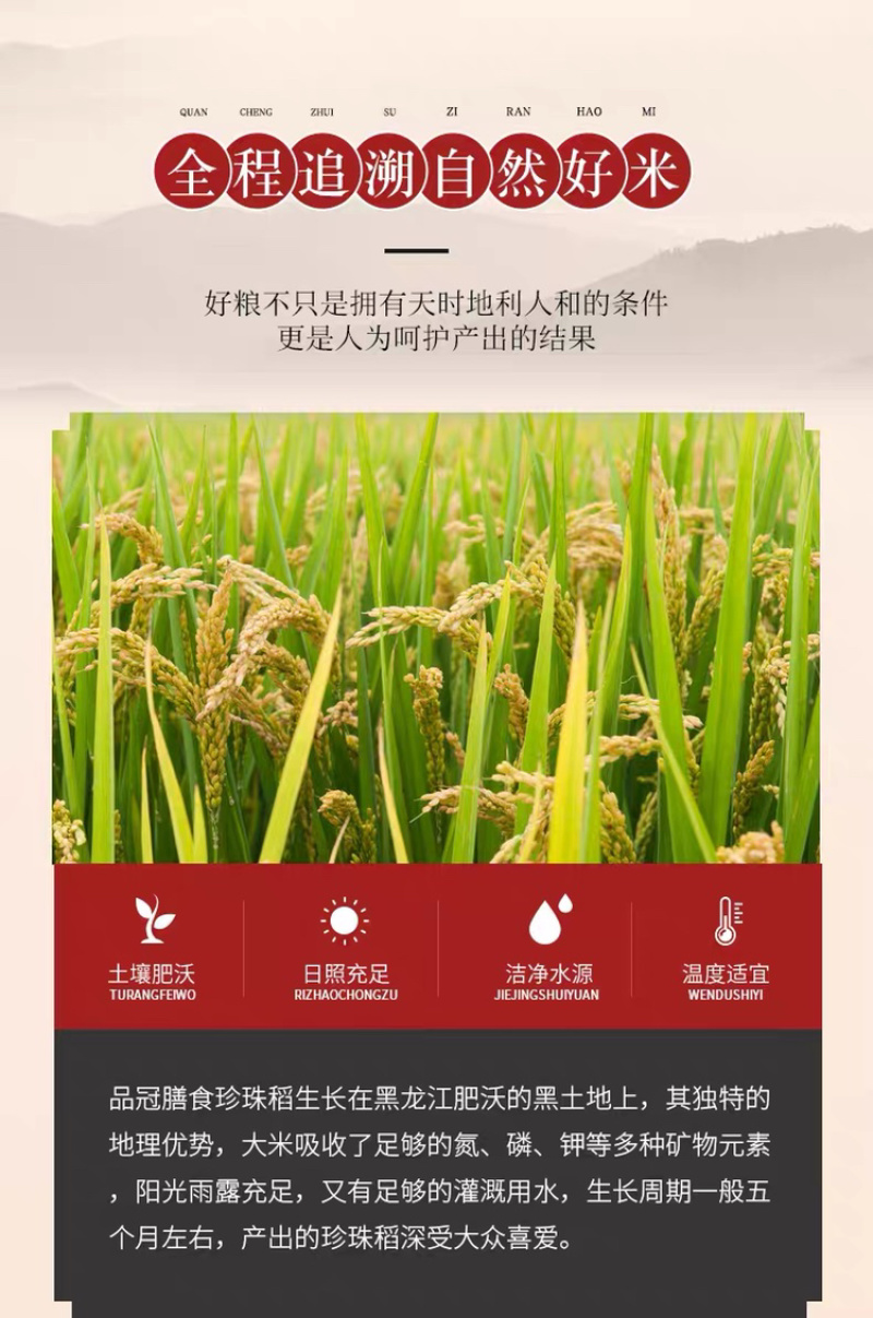 一件代发包邮，东北珍珠稻