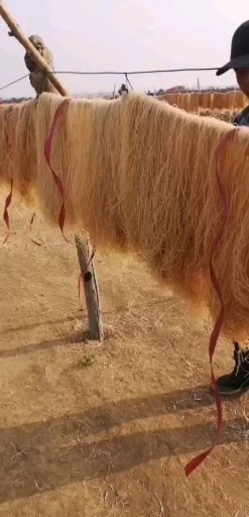 粉条