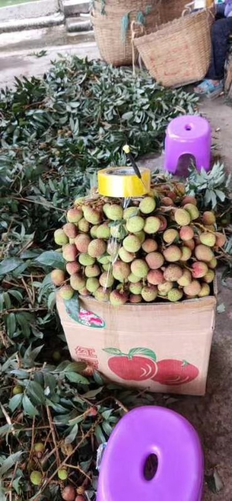 荔枝