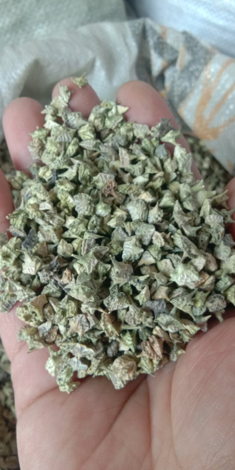 刺蒺藜蒺藜白蒺藜蒺藜干货农产品