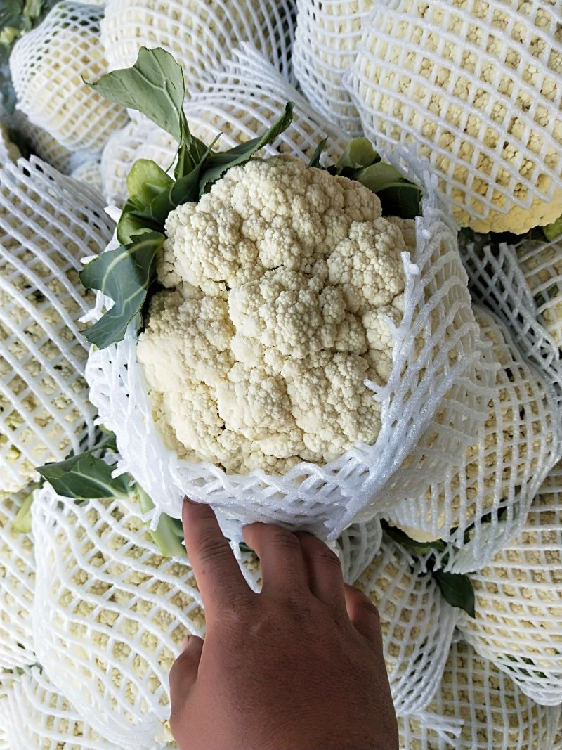 精品有机花花菜产地一手货源代发全国欢迎市场商超来电合作