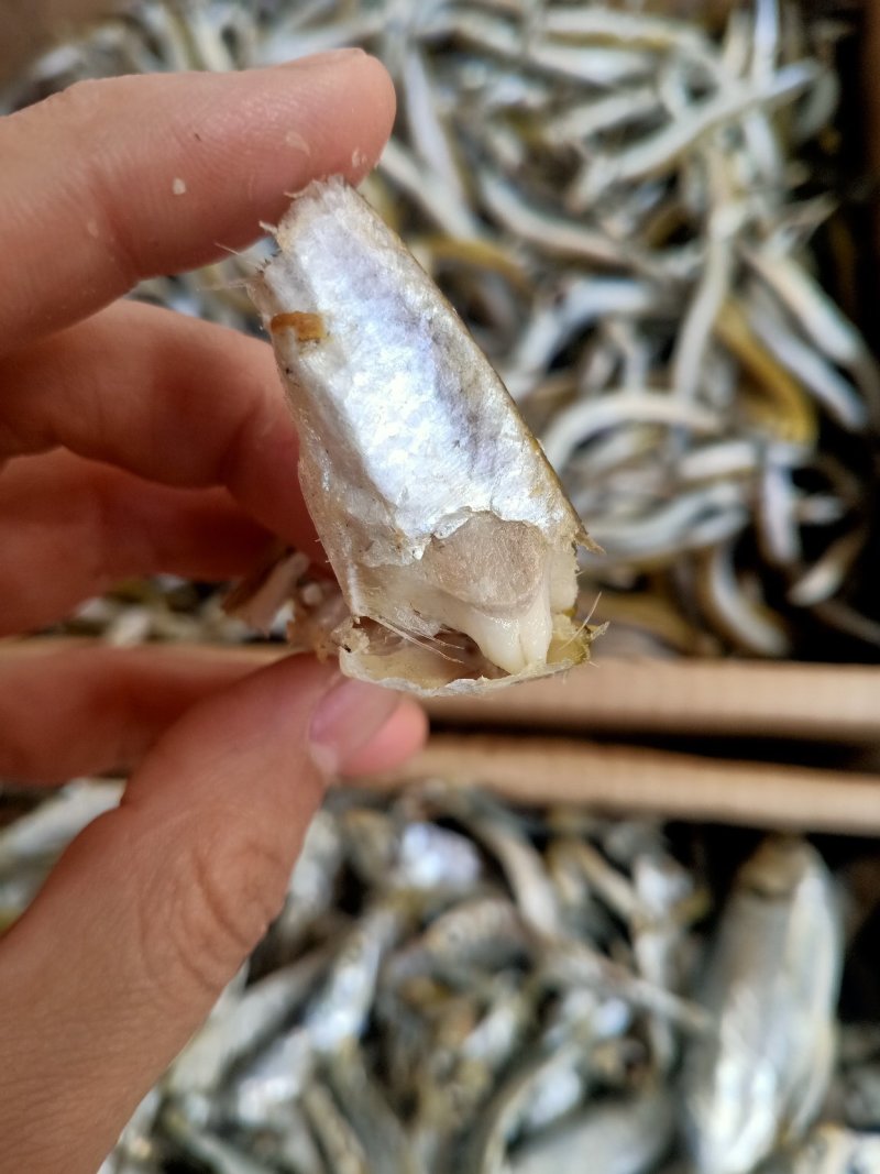 即食海鲫鱼