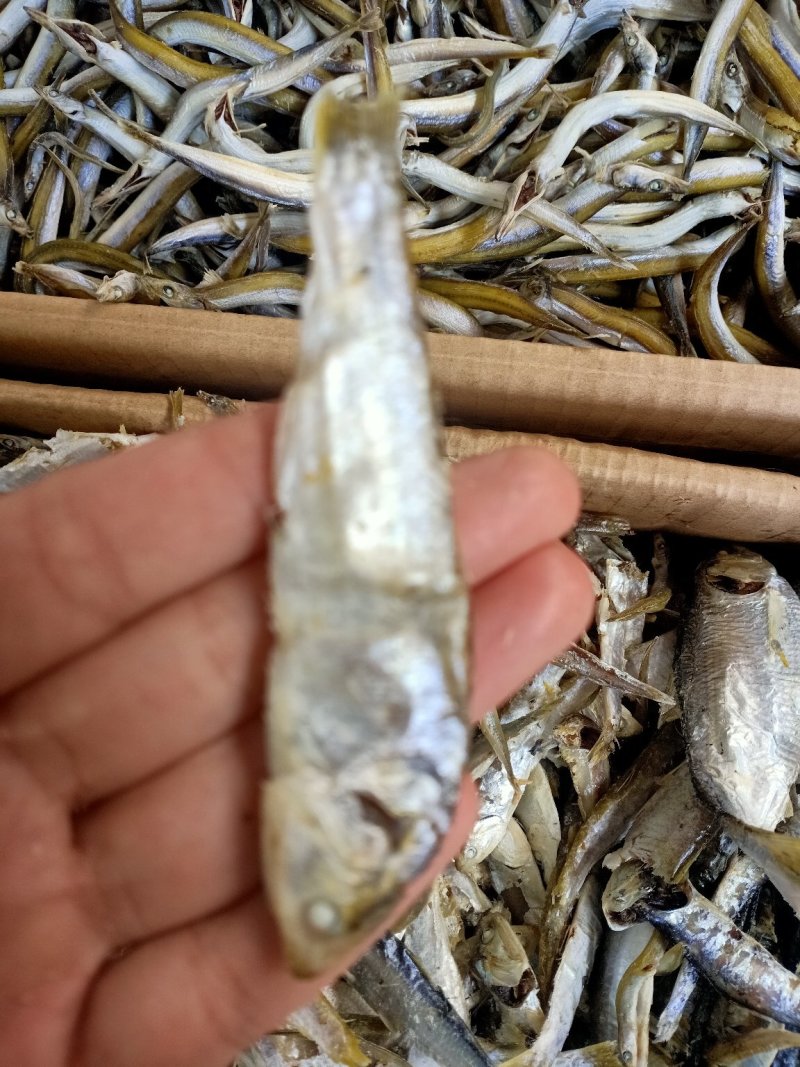 即食海鲫鱼